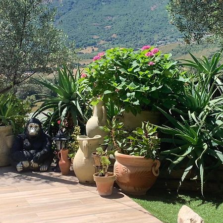 Residence Paradisu Ajaccio 아피에토 외부 사진