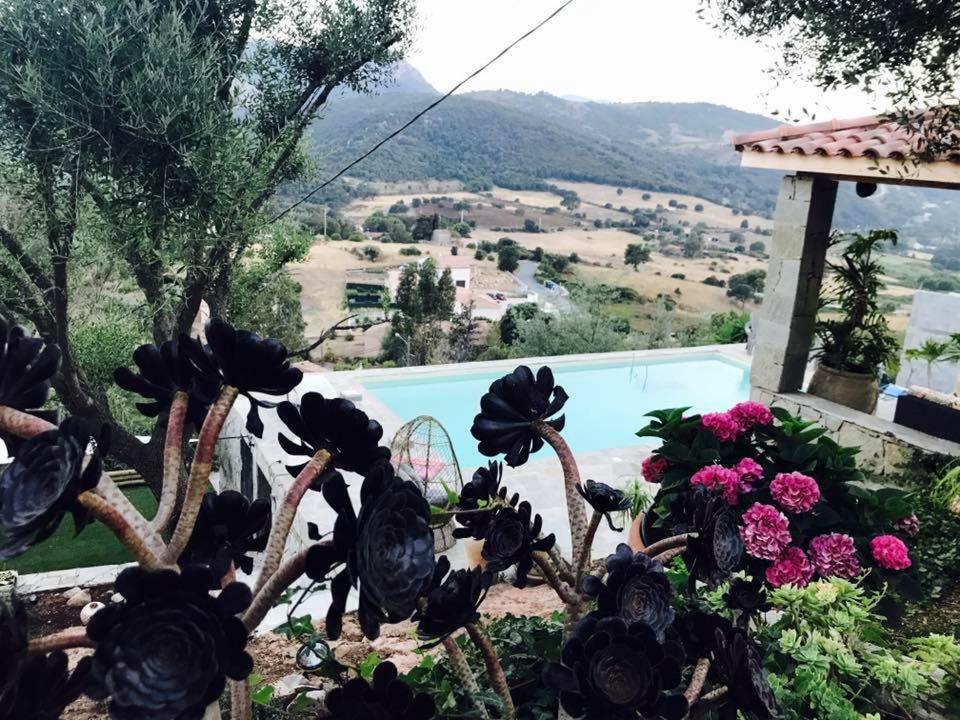 Residence Paradisu Ajaccio 아피에토 외부 사진
